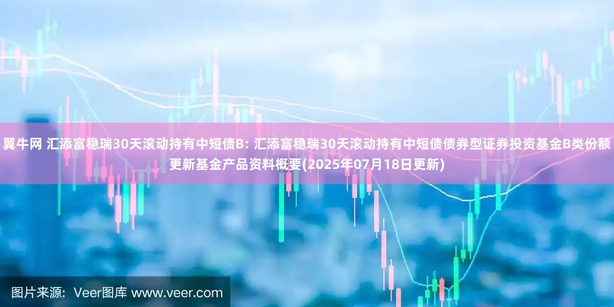 翼牛网 汇添富稳瑞30天滚动持有中短债B: 汇添富稳瑞30天滚动持有中短债债券型证券投资基金B类份额更新基金产品资料概要(2025年07月18日更新)