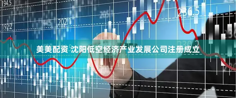 美美配资 沈阳低空经济产业发展公司注册成立